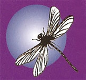 Dyoligy logo, sponsor for Tyers Art Festival.